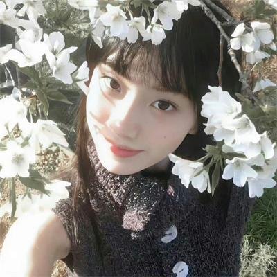 恋爱青春梦