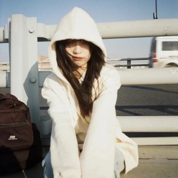 几度菊花香