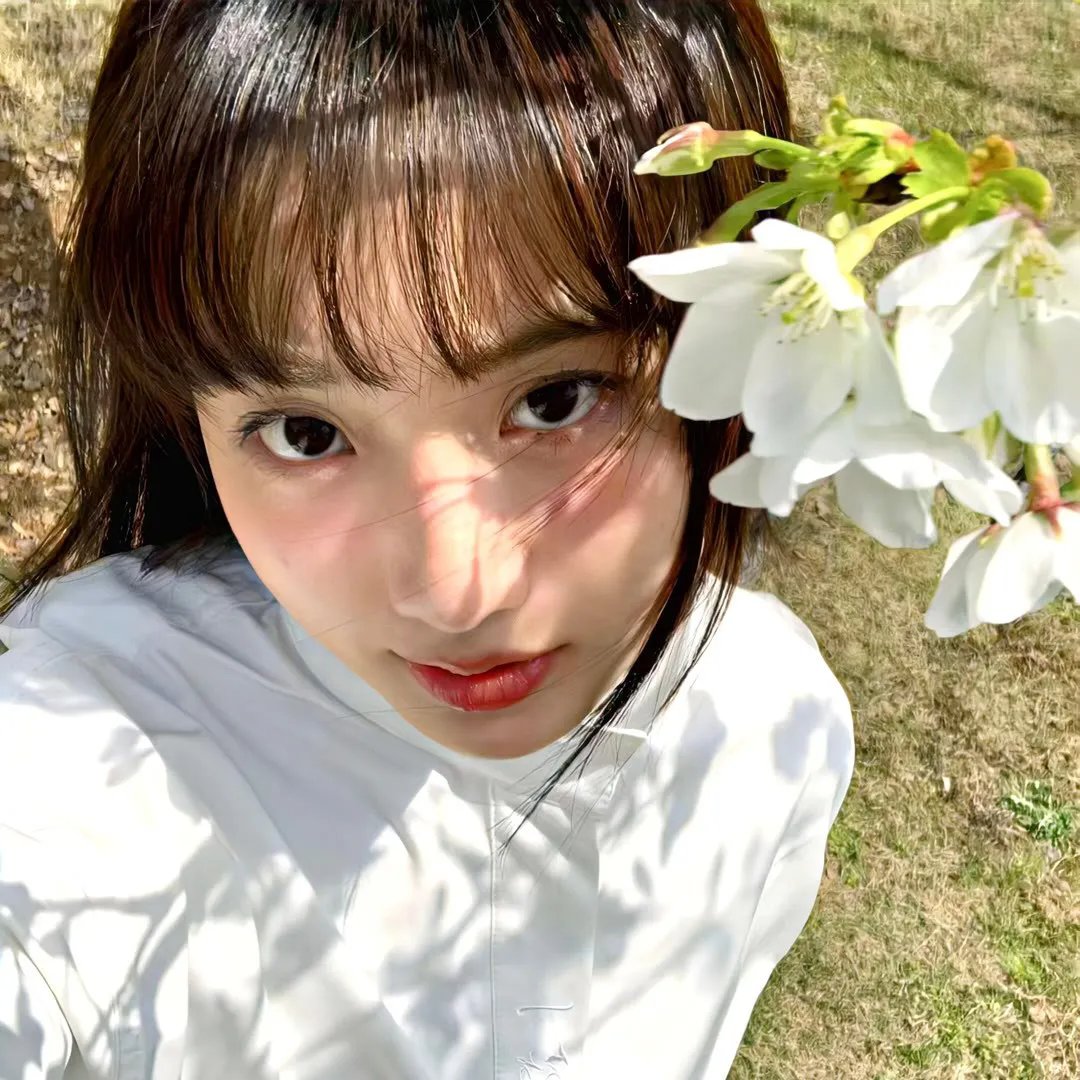 乐高史酷比：闹鬼的好莱坞